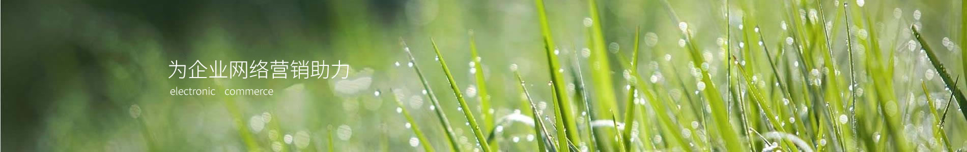 оԵƼ޹˾
